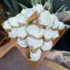 Cinnamon Scrolls