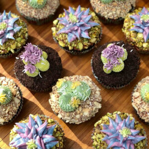 Succulent Cupcakes