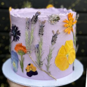 purple spring fever Spring Fever