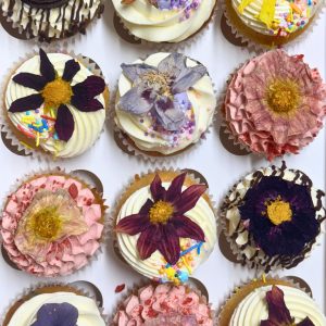Spring Fever Cupcakes